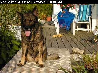 showyoursound.nl - van Gogh - focalsound - p8060278.jpg - zo dat is de technise hond die houd de boel goed in de gaten 